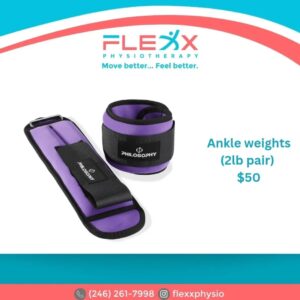 Ankle weights (2lb pair)