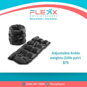 Adjustable Ankle Weights (10lb pair)