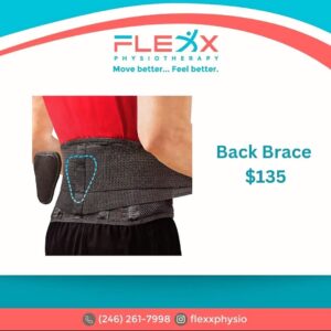 Back Brace