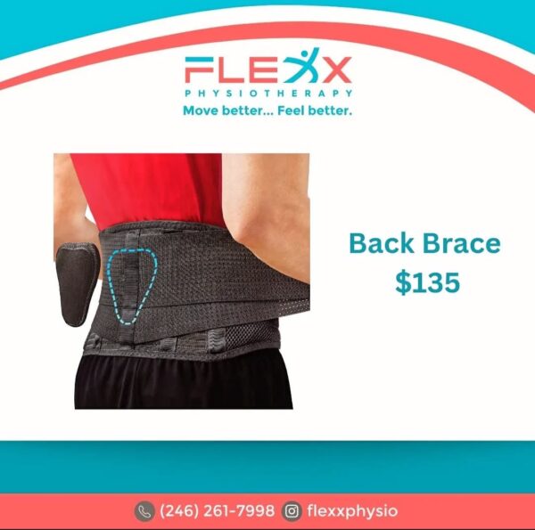 Back Brace